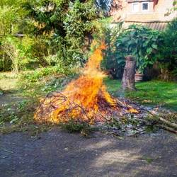 In Teilen des Burgenlandkreises können im März wieder Gartenabfälle verbrannt werden.