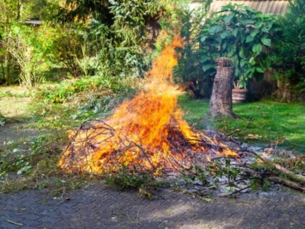 In Teilen des Burgenlandkreises können im März wieder Gartenabfälle verbrannt werden.