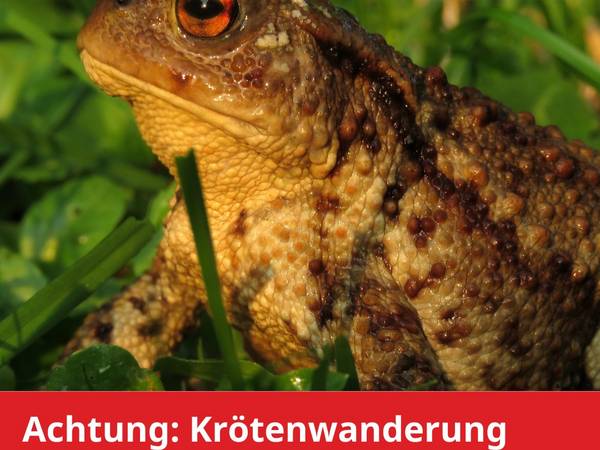 kr tenwanderung